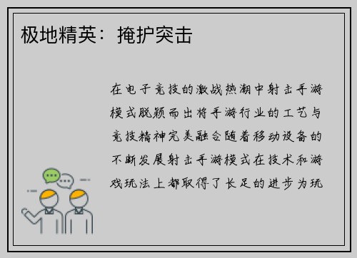 极地精英：掩护突击